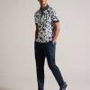 timeless style polo